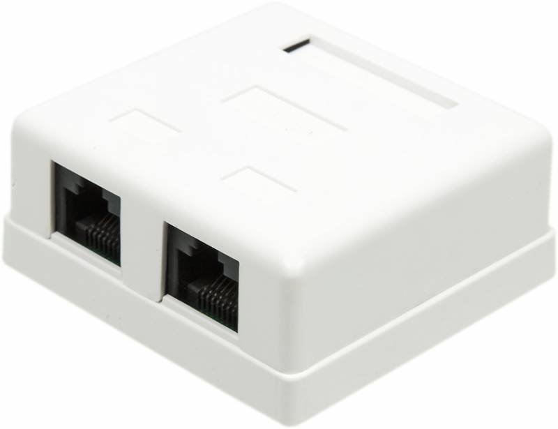 Розетка Lanmaster TWT-SM2-4545-WH RJ45 2 кат.5E бел. (упак.:1шт)