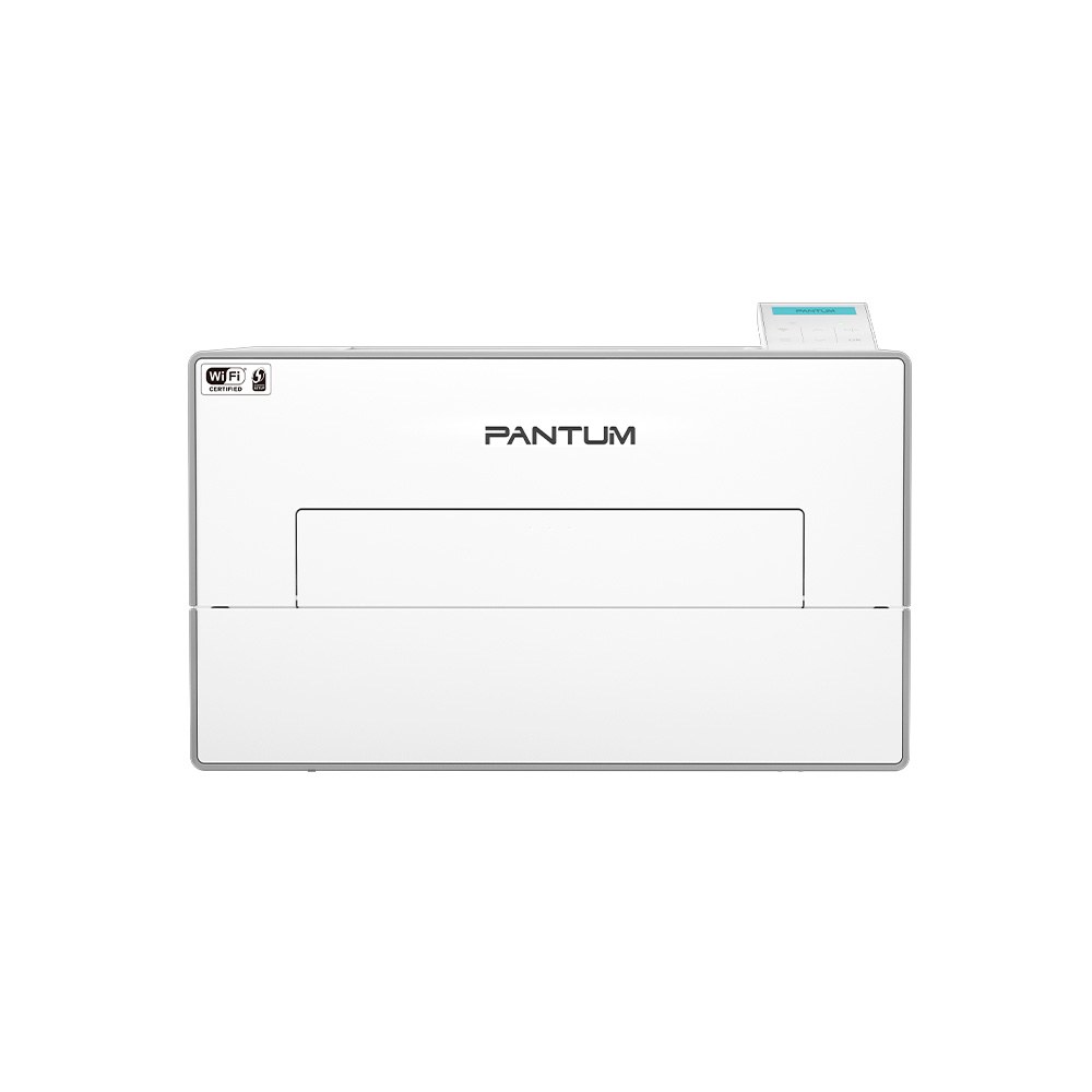 Офисный принтер Pantum BP4210DW (BP4210DW)