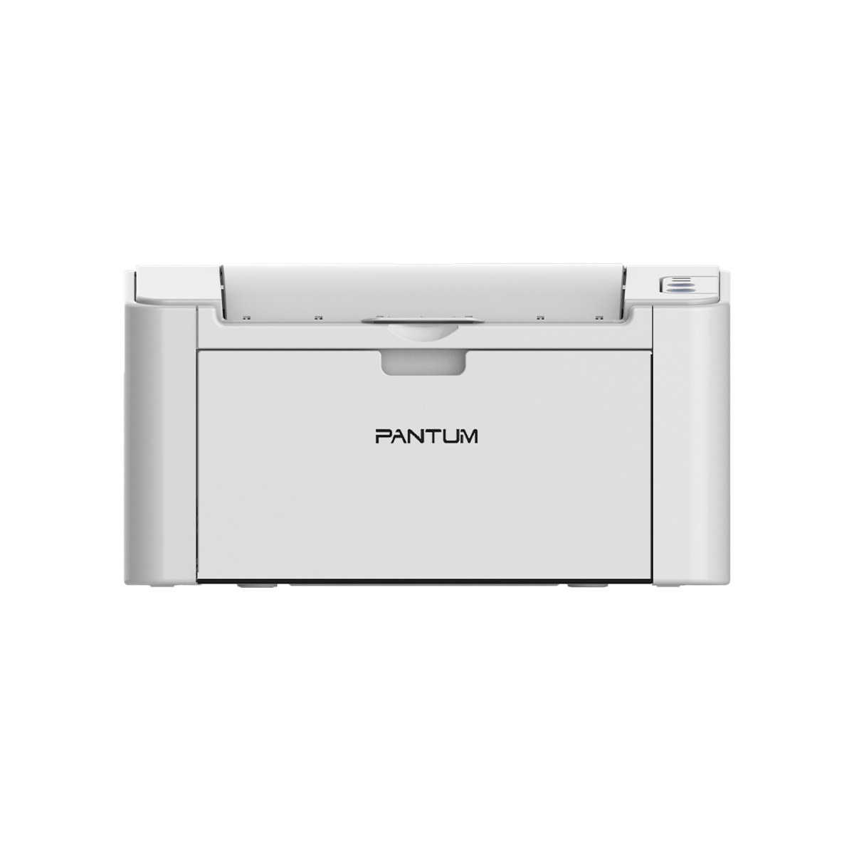 Офисный принтер Pantum P2518 (P2518)
