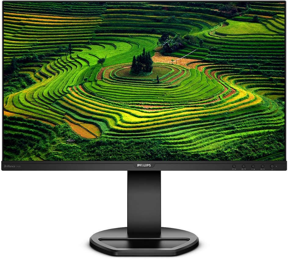 Монитор Philips 23.8" 241B8QJEB (00/01) черный IPS LED 16:9 DVI HDMI M/M матовая HAS Piv 1000:1 250cd 178гр/178гр 1920x1080 75Hz VGA DP FHD USB 4.97кг