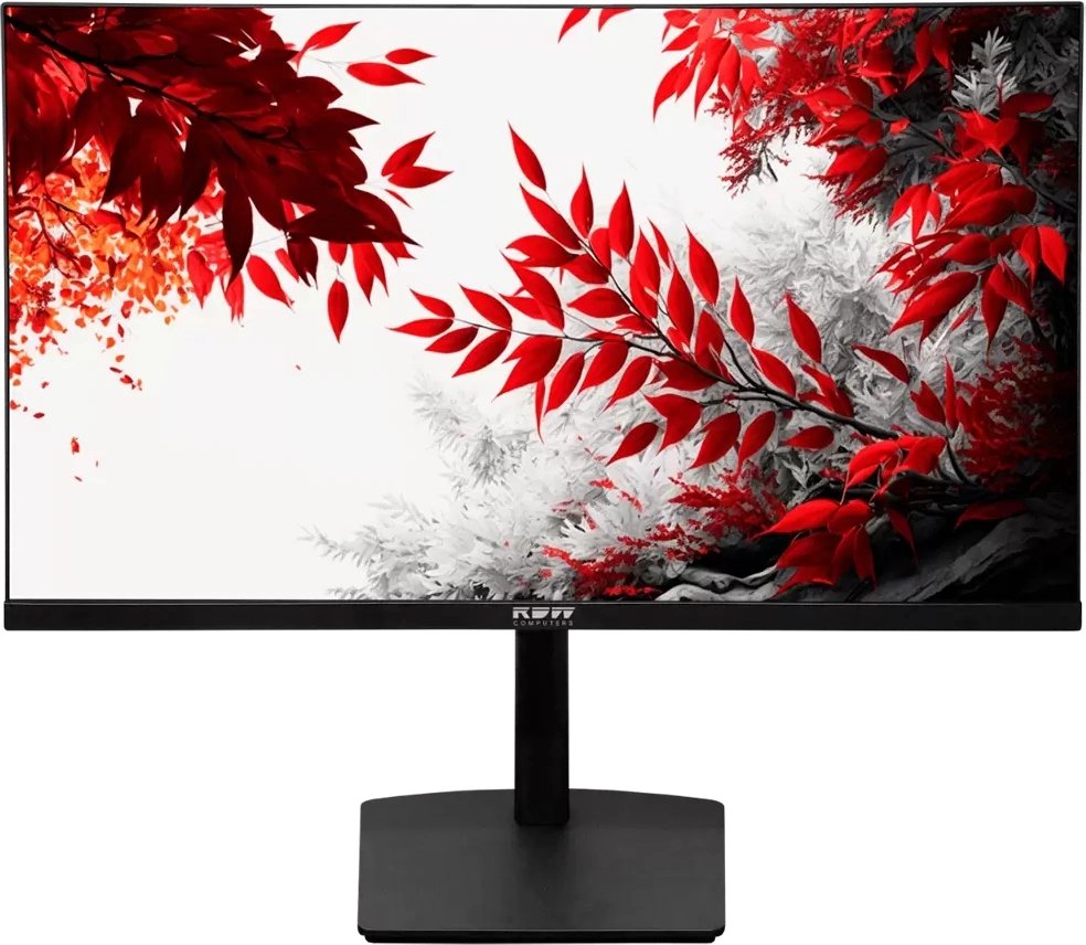 Монитор RDW Computers 31.5" RDW3207 черный IPS 1ms 16:9 HDMI M/M полуматовая HAS Piv 1000:1 350cd 178гр/178гр 2560x1440 100Hz G-Sync FreeSync VGA DP QHD USB (RUS)