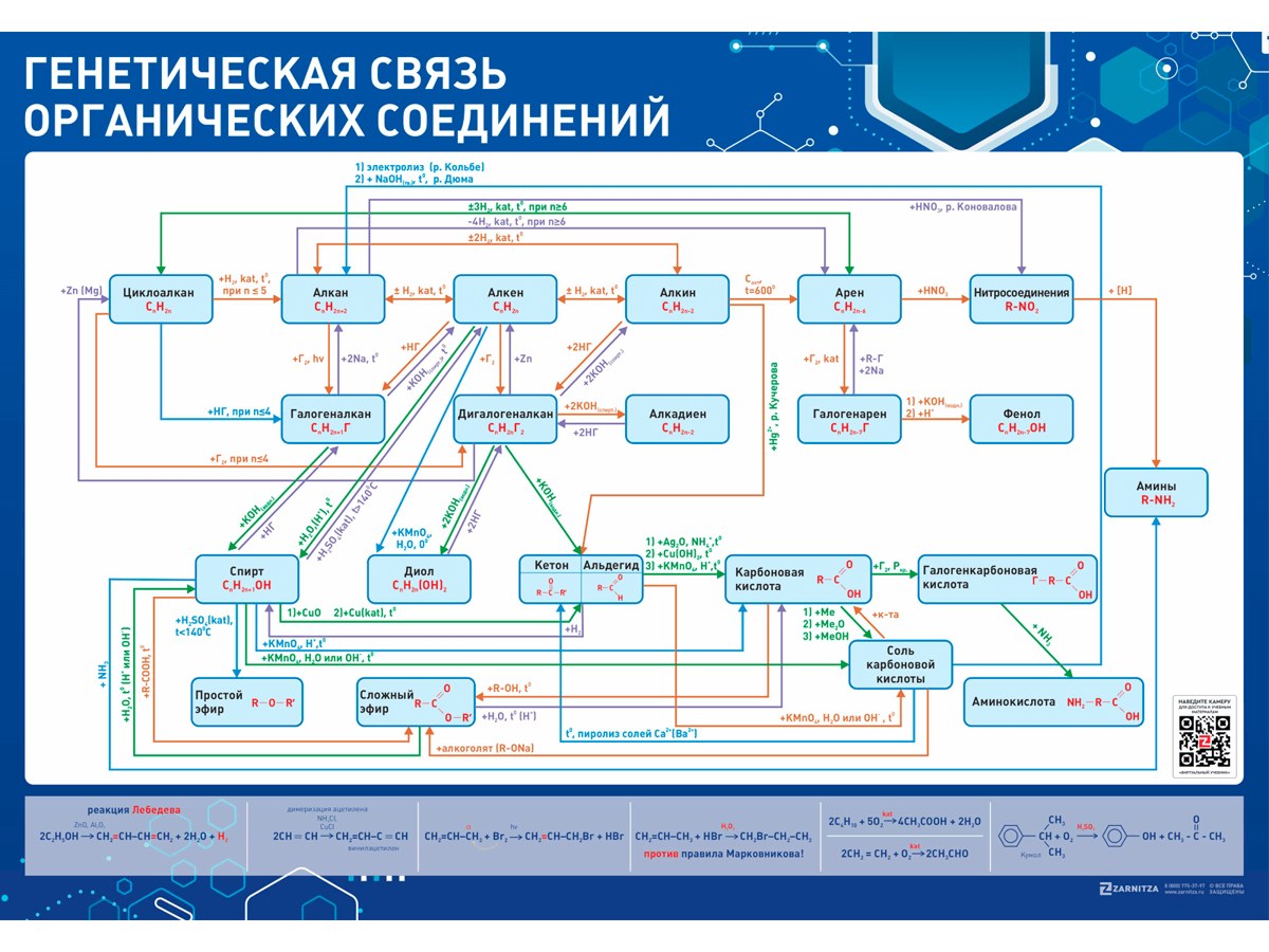 Пособие наглядной экспозиции «Генетическая связь органических соединений»